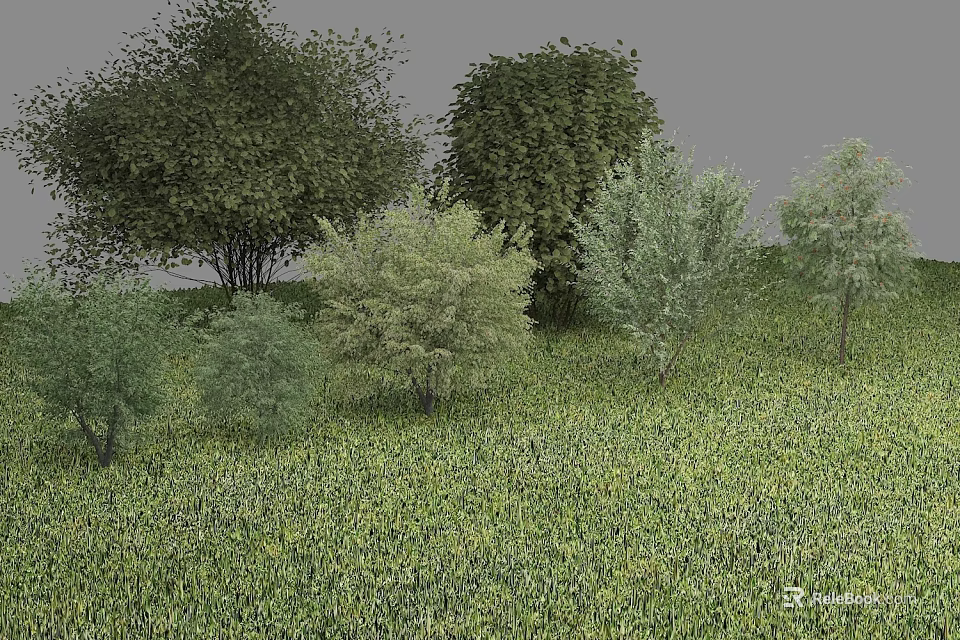 Various Types of Arbor Trees Growing in Lush Green Grassland With Dense Foliage 3d model 