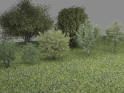 Various Types of Arbor Trees Growing in Lush Green Grassland With Dense Foliage 3d model