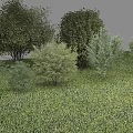 Trees Landscape Trees 3d model