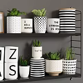 Stylish Black And White Kitchen Shelves With Storage Jars Plants And Utensils