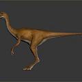 Orange Colored Dinosaur Model Standing On Gray Background With Long Neck And Tail 3d model