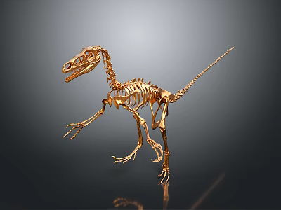 Golden Dinosaur Skeleton With Detailed Anatomical Structure Standing On Dark Background 3d model