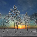 Trees in Snowy Field at Sunset with Snow Covered Branches Under Blue and Orange Sky