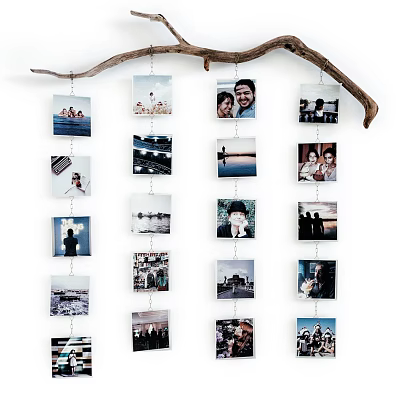 Decorative Photo Wall With Hanging Branch And Various Memory 3d model