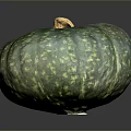 Fresh Green Pumpkin With Yellow Spots On Dark Background For Healthy Food