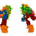 Tissue System Scientific Study With Colorful Dual Molecular Structures And