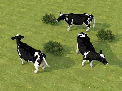Black and White Cows Grazing on Green Grass Field with Bushes Around 3d model