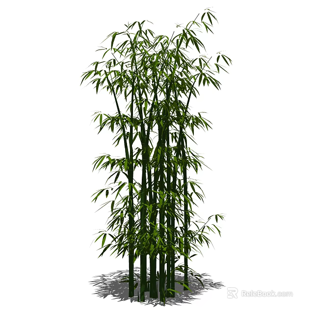 Tall Bamboo Plant With Lush Green Leaves And Thick Stems In Natural Growth 3d model 