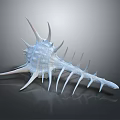 White Spiky Conch Shell 3D Rendering Isolated On Dark Background 3d model