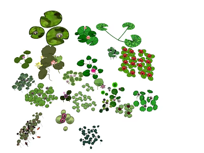 Various Green Garden Plants With Different Leaf Shapes And Colorful Blooms 3d model