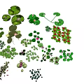 Various Green Garden Plants With Different Leaf Shapes And Colorful Blooms