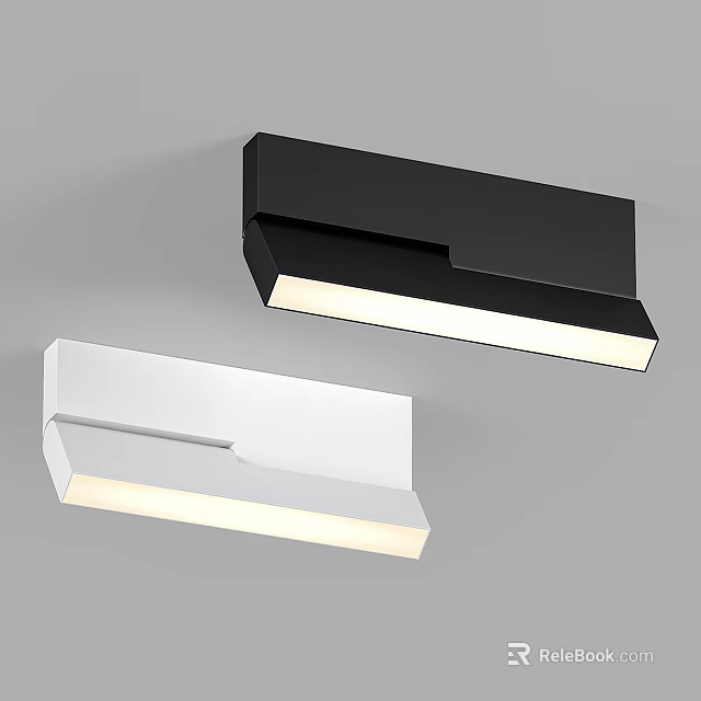 Modern Minimalist Black and White Ceiling Lights with Sleek Linear Design for Contemporary Interior 3d model 