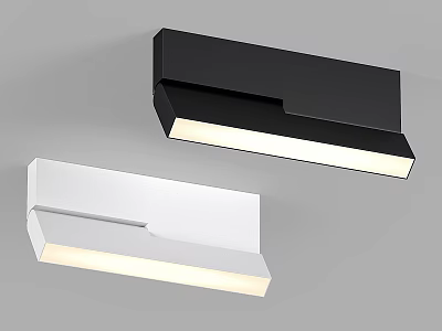 Modern Minimalist Black and White Ceiling Lights with Sleek Linear Design for Contemporary Interior 3d model