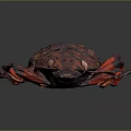 Detailed Reddish Brown Spotted Beetle With Red Legs On Dark Background