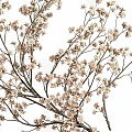 Decorative Ornament Set With Vase Dried Branches Teapot Fruit Plate And Books