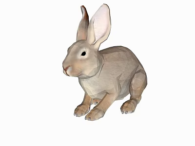 High Quality 3D Reptile Model with Detailed Features and Realistic Design 3d model