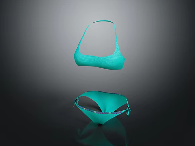 Modern Underwear Bra Bra Full Cup Bra 3d model Modern Underwear Bra Bra Full Cup Bra 3d model