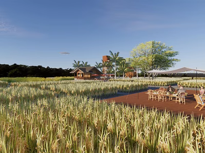 Rural Landscape With Golden Rice Fields Wooden Cottage And Palm Trees Under Clear Blue Sky 3d model
