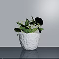 White Textured Ceramic Pot Bonsai Potted Plant With Green Round Leaves On Gray Tabletop