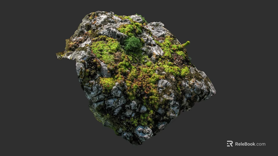 Natural Micro Terrain with Rock Surface Covered in Green Moss and Small Vegetation 3d model 