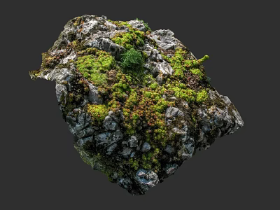 Natural Micro Terrain with Rock Surface Covered in Green Moss and Small Vegetation 3d model
