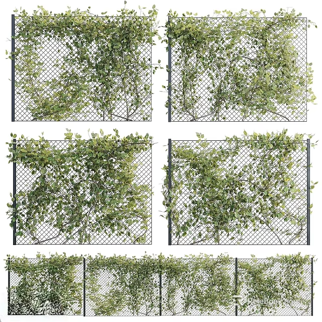 Lush Green Vines Climbing And Covering Chain Link Fence For Garden Decoration 3d model 