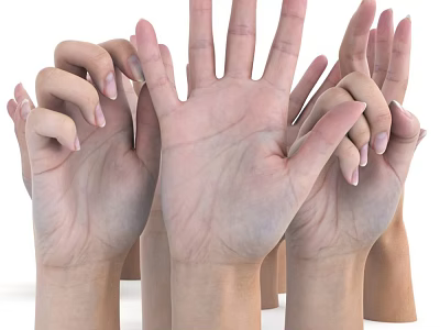 Collection Of Female Hands With Different Gestures And Manicured Nails 3d model