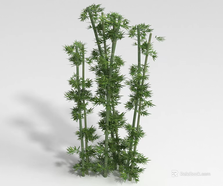 Green Bamboo Clusters With Tall Stems And Lush Fresh Leaves 3d model 