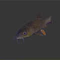 3D Model Of A Fish With Dark Body Whiskers And Fins On White Background