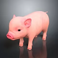 Cute Pink Piglet Standing on Dark Background with Reflection 3d model