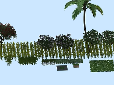 Lush Green Vine Fence With Mixed Bushes And Palm Tree In Garden Landscape 3d model