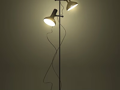 Modern Curved Floor Lamp With Double Illuminated Heads And Black Stand 3d model
