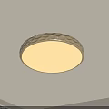 Modern Round Light Gold Textured Ceiling Light With Soft White Illumination For Interior 3d model