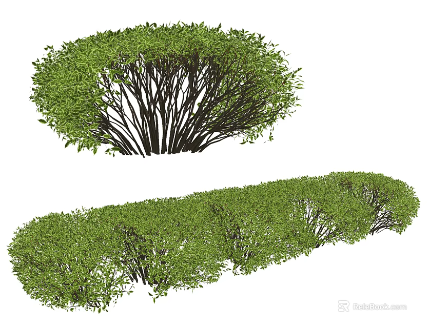Green Trimmed Bushes with Rounded and Long Shapes for Garden Landscaping Decoration 3d model 