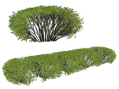 Green Trimmed Bushes with Rounded and Long Shapes for Garden Landscaping Decoration 3d model