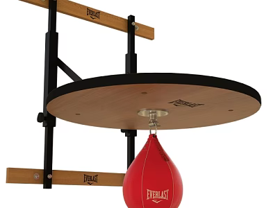 Everlast Red Speed Bag With Wall Mounted Bracket And Circular Platform 3d model
