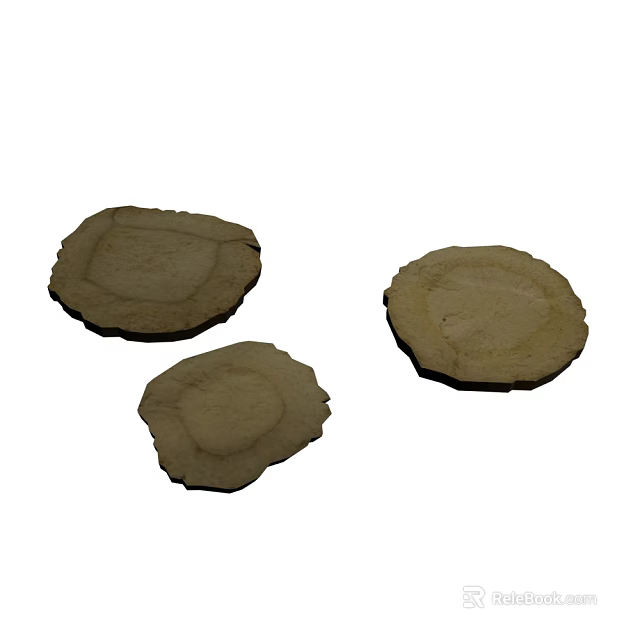 Natural Dried Plant Root Slices With Brown Round Shape And Textured Edges 3d model 