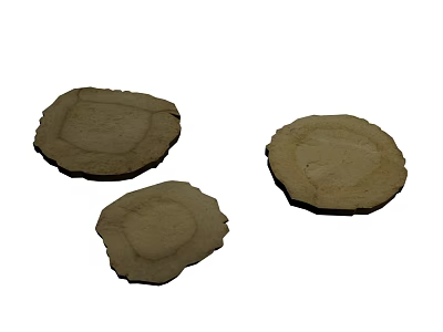 Natural Dried Plant Root Slices With Brown Round Shape And Textured Edges 3d model