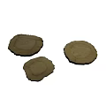 Natural Dried Plant Root Slices With Brown Round Shape And Textured Edges