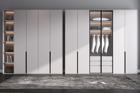 Modern wardrobe combination 3d model