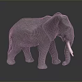 Gray Elephant Model With Ivory Tusks And Skin Texture On Dark Background