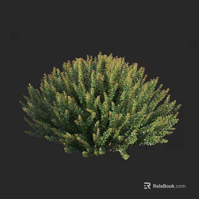 Dense Round Evergreen Arbor With Green And Orange Foliage For Garden Landscaping 3d model 