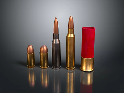 Assorted Bullet Sizes In Metallic And Red Casings On Dark Surface 3d model