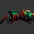Colorful Spider with Green Red Spots Striped Legs and Shiny Exoskeleton Against Dark Background