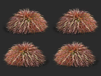 modern grass 3d model