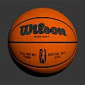 Wilson EVO NXT Official National Basketball Association Professional Sports Equipment Basketball