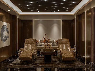 modern video room video hall 3d model