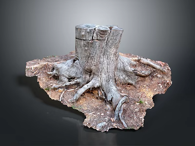 Natural Wooden Stump With Exposed Roots And Rustic Stone Textured Base Design 3d model