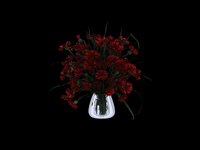 Vibrant Red Flower Potted Plant In Clear Pot Against Black Background Decor 3d model