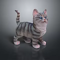 Cute Striped Kitten Standing Pose With Gray Fur And Pink Paws